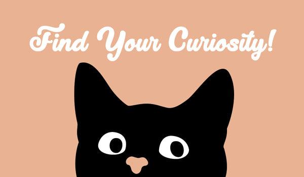 Find Your Curiosity: Part 1